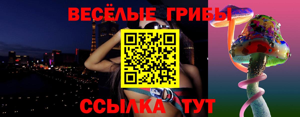 Троицк  Псилоцибиновые грибы мухоморы  магазин продажи   Вход с VPN 